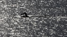 Natation