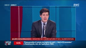 Vous pourrez acheter un sapin de Noël dès le 20 novembre