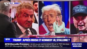 Story 5 : Équipe Trump, après Musk et Kennedy Jr, Stallone ? - 15/11