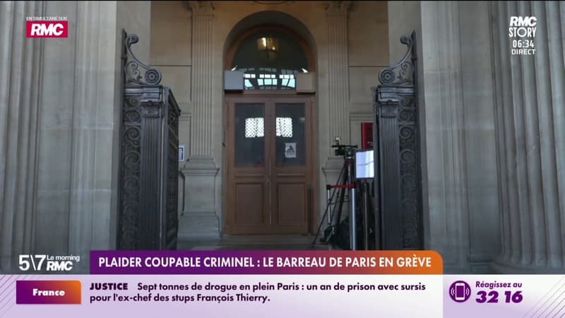 "Plaider coupable" criminel : le barreau de Paris en grève