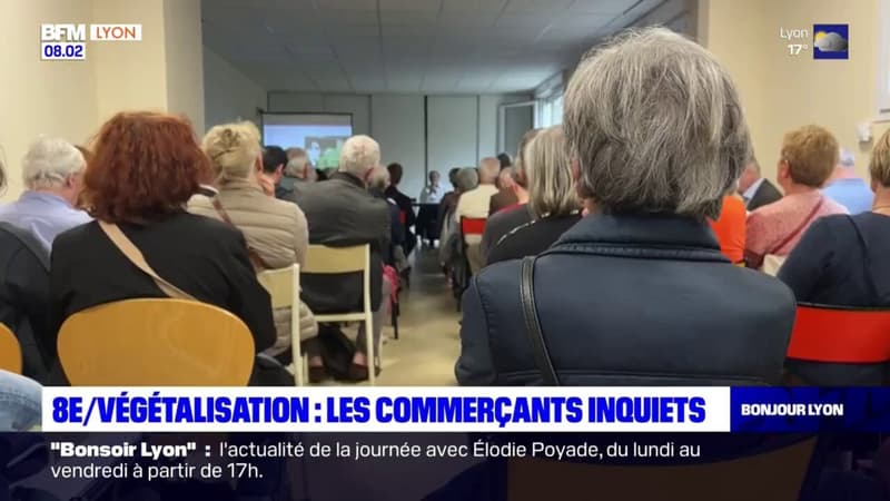 Regarder la vidéo Lyon: la végétalisation de l'avenue des Frères-Lumière au cœur de l'inquiétude des commerçants