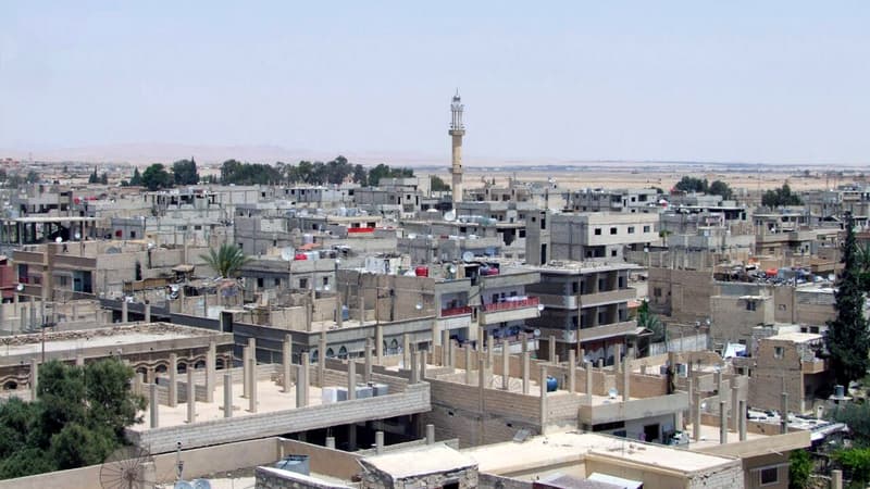 Vue générale de la ville de Palmyre, en Syrie, tombée aux mains de Daesh le 21 mai.