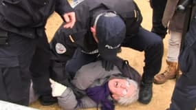 Opposée à l'abattage d’arbres à Poitiers, une militante écologiste a été interpellée de manière musclée par les forces de l’ordre.