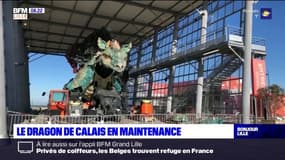 Littoral: le Dragon de Calais en maintenance en attendant la réouverture