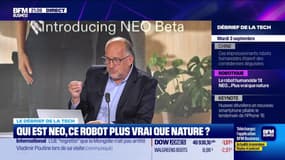 Qui est NEO, ce robot plus vrai que nature ? - 03/09