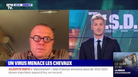 Un virus menace les chevaux - 12/03