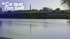 La Seine à Choisy-le-Roi, ce jeudi 14 août.