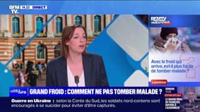 Avec le froid qui arrive, est-il plus facile de tomber malade ? BFMTV répond à vos questions
