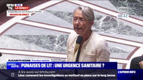 Punaises de lit: "Nous sommes déterminés à agir et amplifier notre action", affirme Élisabeth Borne, en réponse à Mathilde Panot (LFI) 