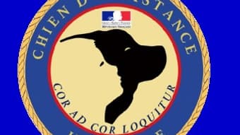 Le loge du chien d'assistance judiciaire.