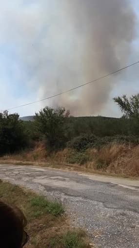 Incendie de forêt à Générac - Témoins BFMTV