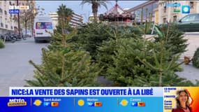 Nice: le marché des sapins ouverte à la Gare du Sud