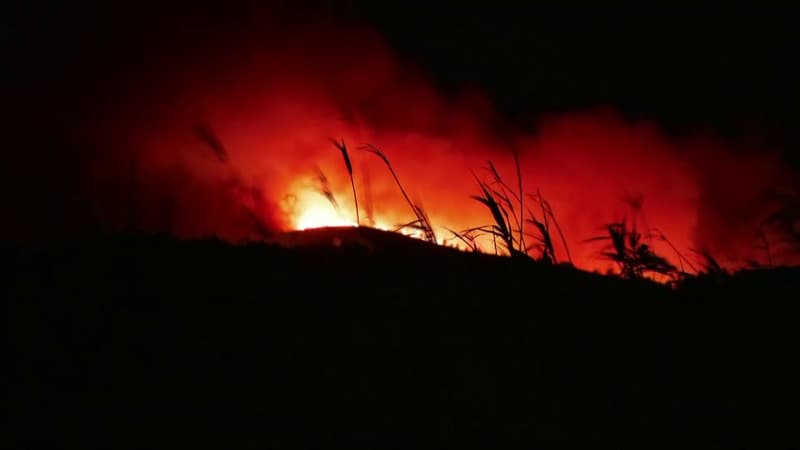 DIRECT. Incendie dans l'Aude: le feu incontrôlable, près de 2000 hectares parcourus par les flammes