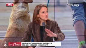 750 € d'amende pour une crotte de chien ! Barbara Lefebvre : "Cette amende est inapplicable car il faut le flagrant délit !"