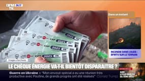 Le chèque énergie accusé d'aller "à l'encontre des objectifs climatiques de la France" par un rapport de l'Inspection générale des finances