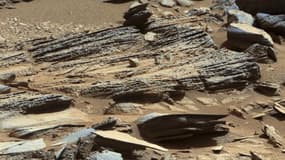 Barack Obama a confié à la Nasa la mission de trouver un petit astéroïde susceptible d'être dévié et mis en orbite autour de la lune pour servir ensuite de tremplin à une mission sur Mars. En 2021, des astronautes pourraient ainsi se rendre sur l'astéroïd