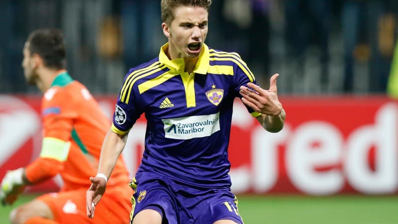 Luka Zahovic - Maribor