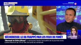 Feux de forêt dans les Alpes-Maritimes: les sapeurs-pompiers estiment que "ce n'est pas quelque chose d'exceptionnel"