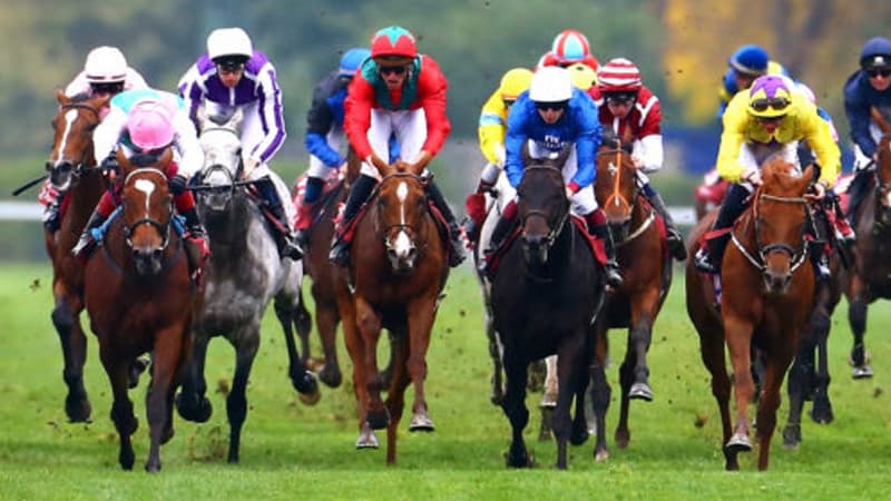 Les Qatar Arc Trials avaient lieu ce dimanche 13 septembre