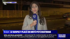 Fusillade à Paris: quels sont les scénarios possibles après l'expertise psychiatrique du suspect ?