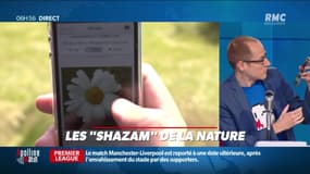 La chronique d'Anthony Morel : Les "Shazam" de la nature - 03/05