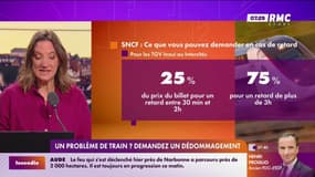 Un problème de train ? Demandez un dédommagement