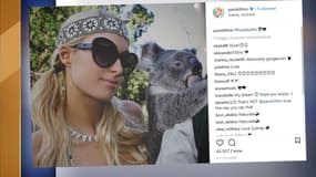 Paris Hilton posait il y a quelques jours avec un koala.