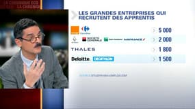 Quelles sont les entreprises qui recrutent le plus d'apprentis?