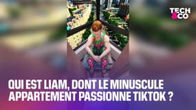 Acier galvanisé et vis d’expansion: qui est Liam, dont le minuscule appartement passionne Tiktok?