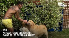 PSG : Neymar feinte ses chiens avant de les défier au sprint