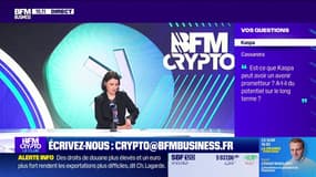 BFM Crypto, le Club : Que pensez-vous du projet FLUX avec lequel Nvidia a signé un partenariat ? - 05/06