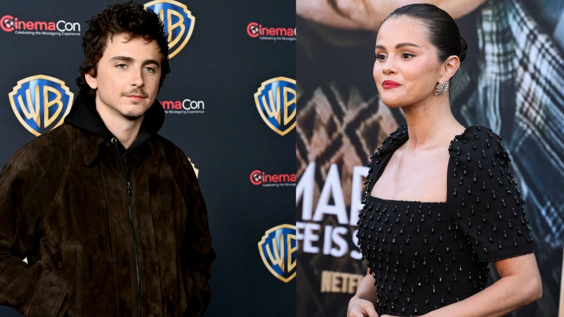Selena Gomez et Timothée Chalamet prêteront leur voix pour "Not Alone", le prochain film d'animation du studio Illumination