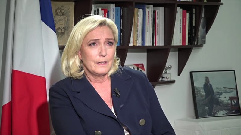 Violente évacuation d'une militante: Marine Le Pen met en cause 