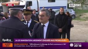 Loi immigration largement censurée mais promulguée ?