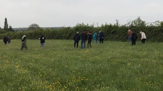 Les scientifiques en train de chercher la fameuse météorite dans une praire de l'Orne.