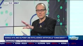 Culture Geek: Google a-t-il mis au point une intelligence artificielle "consciente" ?, par Anthony Morel - 14/06