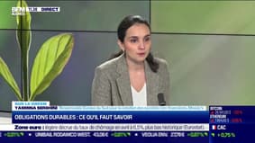 Sur le green : Ce qu'il faut savoir sur les obligations durables - 01/06