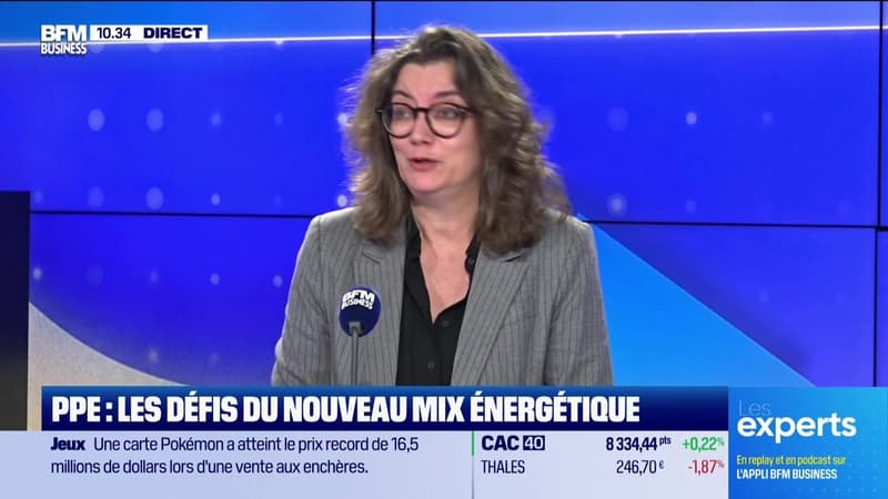 Les Experts : PPE, les défis du nouveau mix énergétique - 17/02