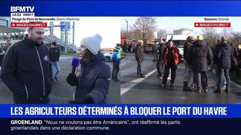 Mercosur: les agriculteurs déterminés à bloquer le port du Havre