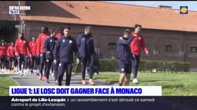 Ligue 1: le Losc doit gagner face à Monaco