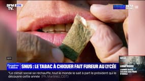 Le snus, ce tabac à chiquer fait fureur dans les lycées est-il dangereux pour la santé?