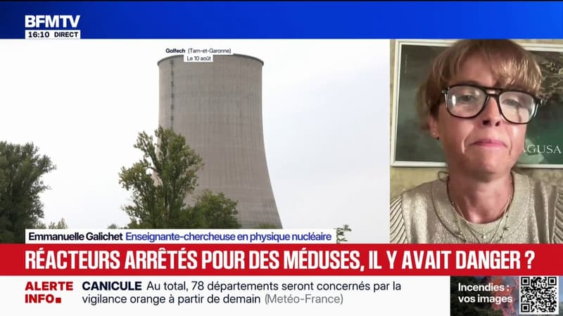 Réacteurs arrêtés pour des méduses: "Des épisodes de canicule sur les centrales nucléaires, on en a déjà eu", indique Emmanuelle Galichet, enseignante-chercheuse