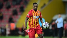 L. Carole