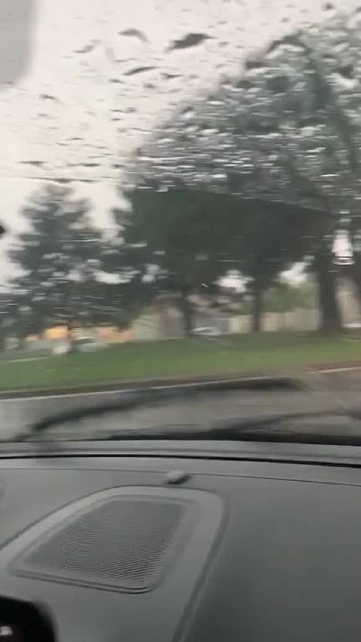 placeholder video