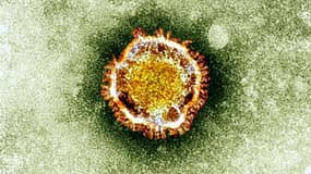 Le coronavirus vu au microscope - Image d'illustration - HO / BRITISH HEALTH PROTECTION AGENCY / AFP
