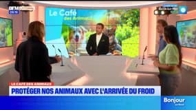 Bonjour Littoral du mercredi 5 novembre 2025