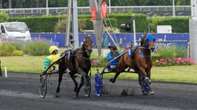 Etonnant et Vivid Wise As se retrouvent sur une distance plus longue