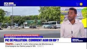 Ile-de-France: pour le directeur général de l'association Respire, il faudrait "anticiper" et non pas "être en réaction" des pics de pollution