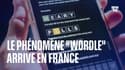 "Wordle", adaptation en ligne de Motus, a désormais sa version française