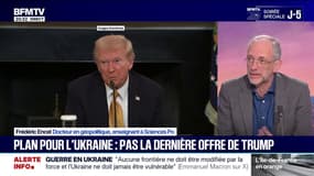 Plan de paix en Ukraine: "Il y a une pression chronologique très forte sur les deux adversaires", observe Frédéric Encel, docteur en géopolitique
